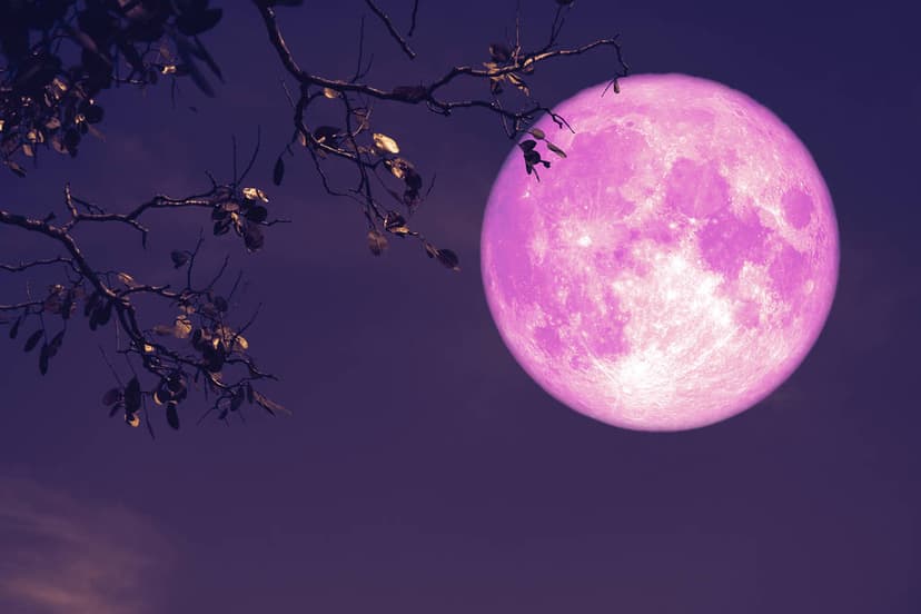 Strawberry Moon on June 11